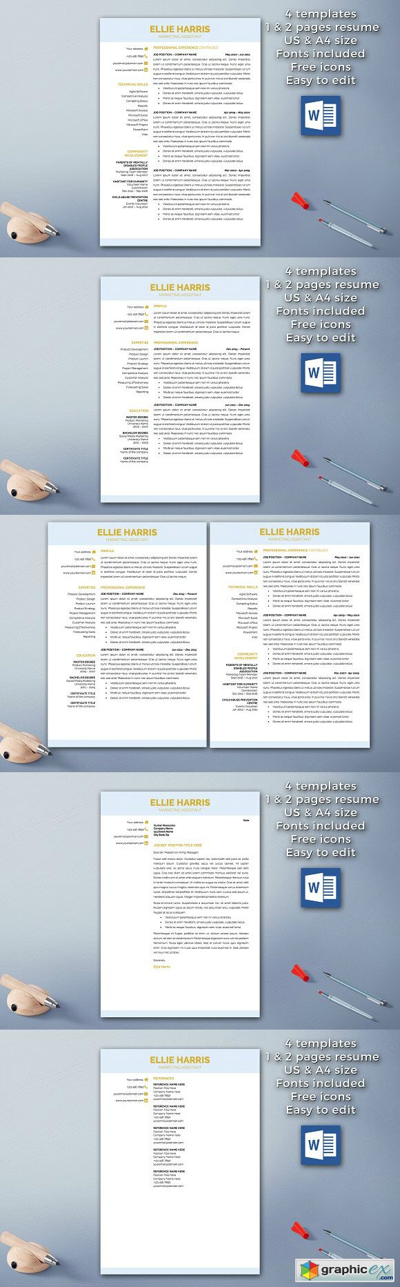 Professional Resume Template 1721309