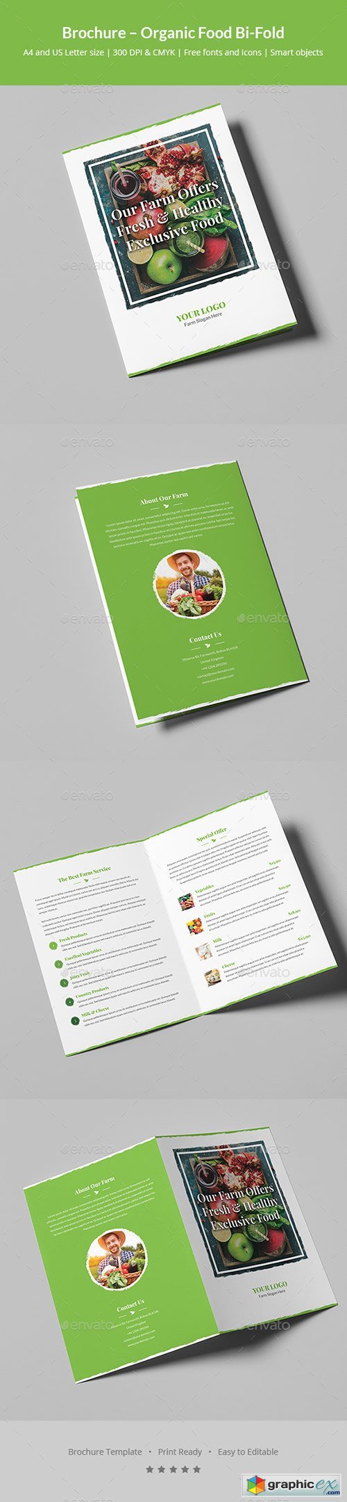 Brochure  Organic Food Bi-Fold