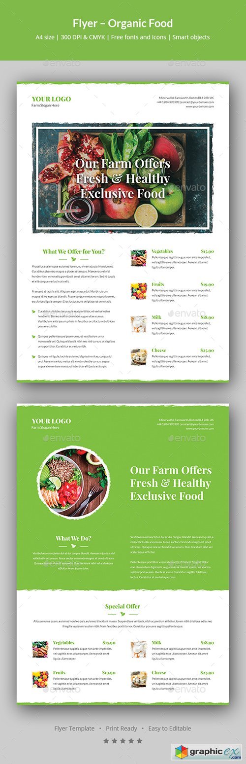 Flyer  Organic Food