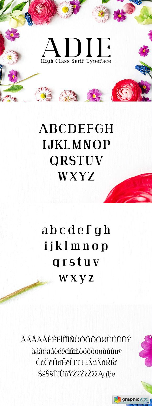 Adie High Class Serif Typeface