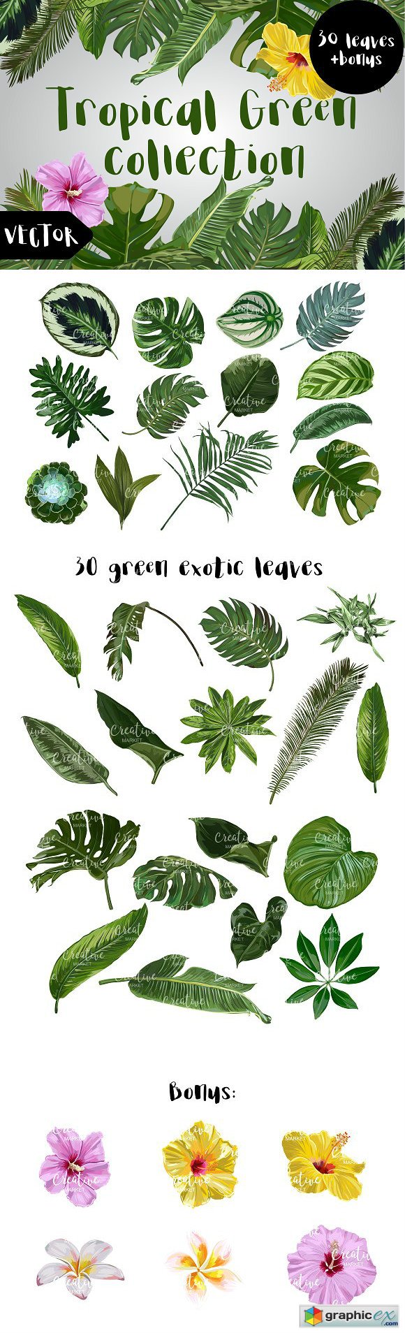 Tropical Green Vector Collection
