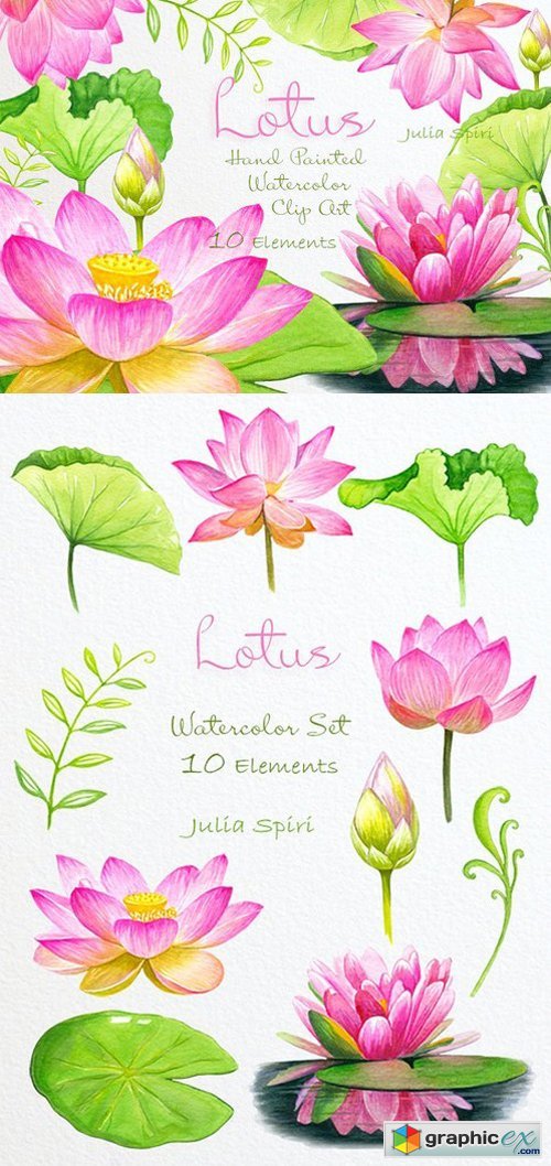Lotus Watercolor Clip Art