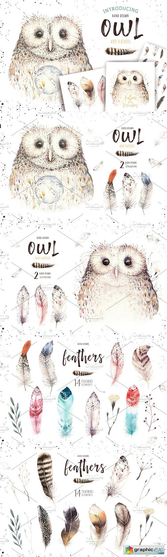 Watercolor owl & feathers collection
