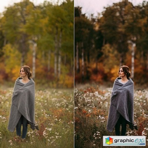 Tricia Victoria - Custom Presets for Lightroom & ACR - The Vibrant Pack