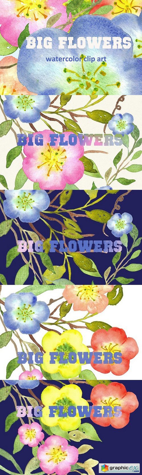 Big Flowers watercolor clip art