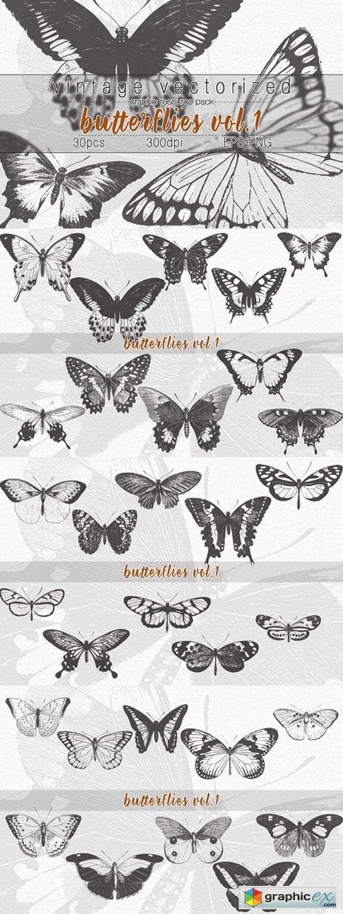 VintageVectorized-Butterfly Clipart