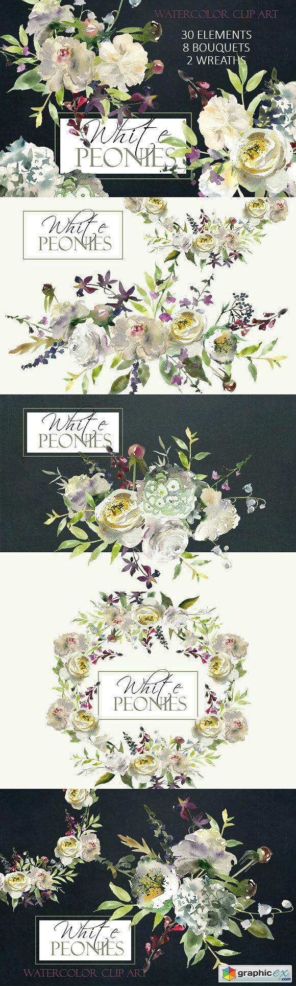 Watercolor White Flowers Clipart