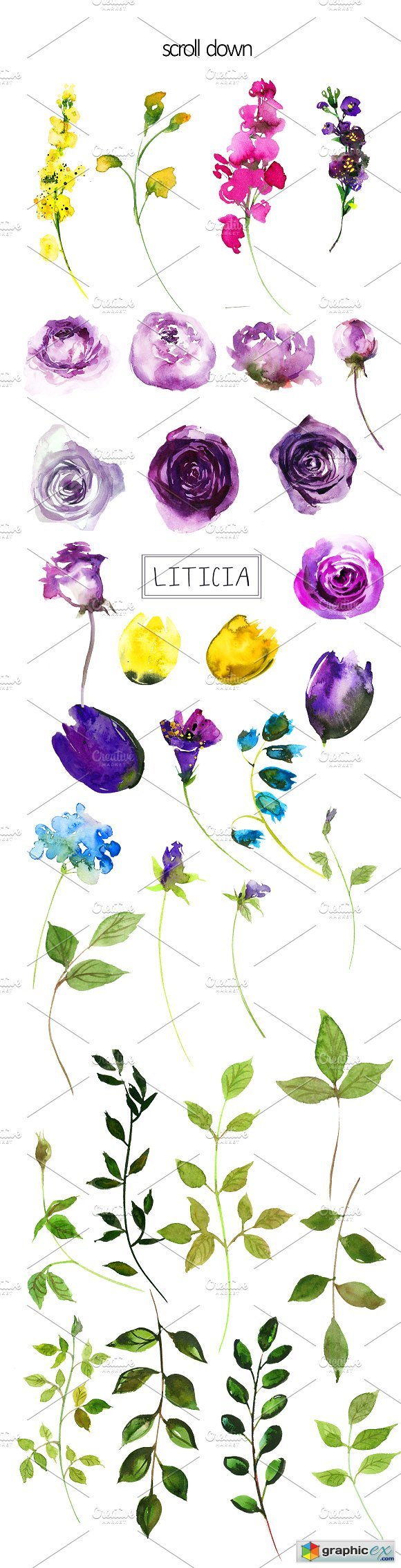 Purple Violet Flowers Clipart Set