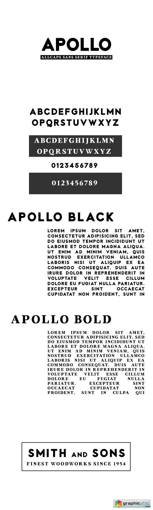 Apollo Fonts Sans Serif