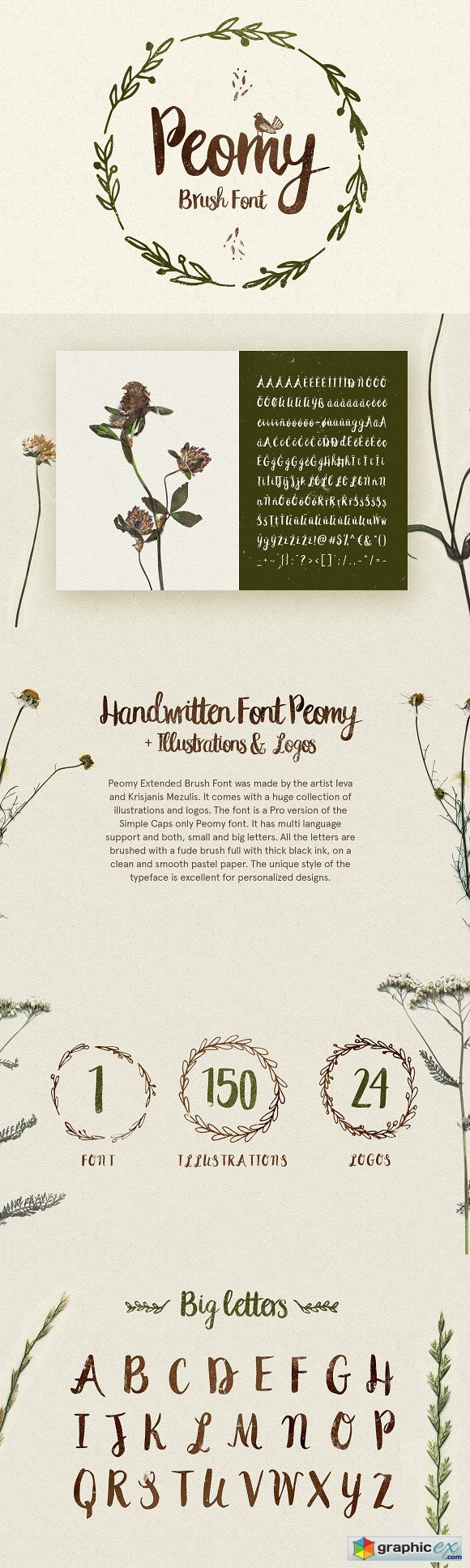 Peomy Extended Font & Illustrations