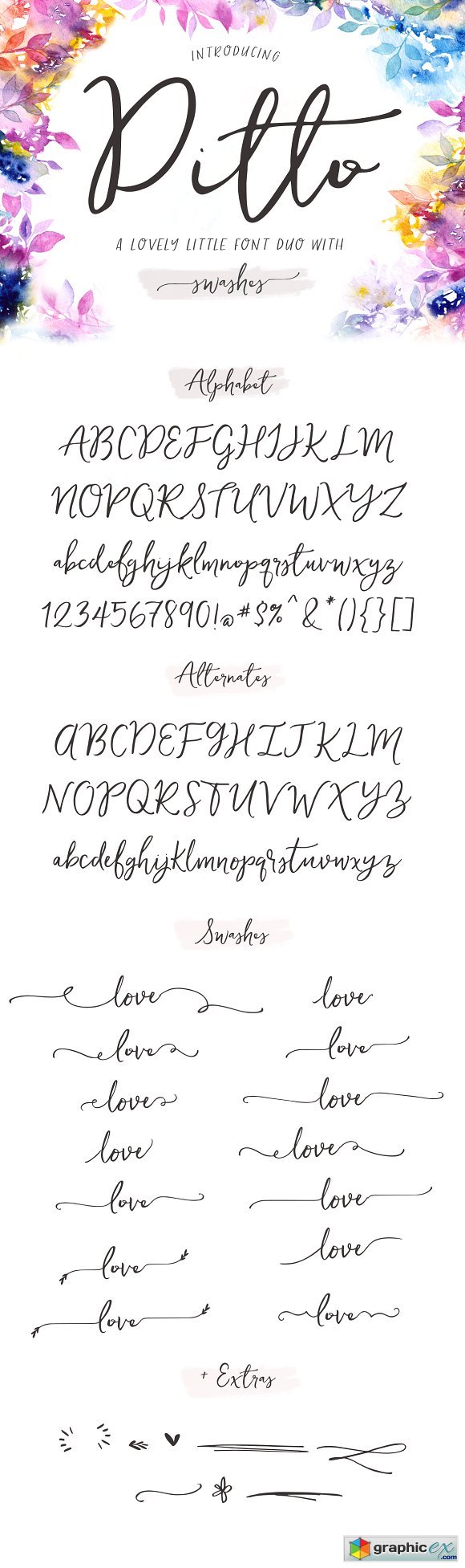 Ditto Font + Swashes