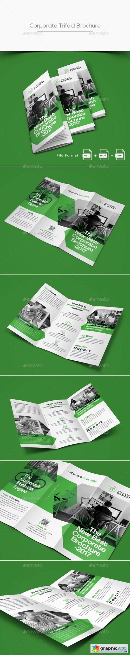 Trifold Brochure 20655519