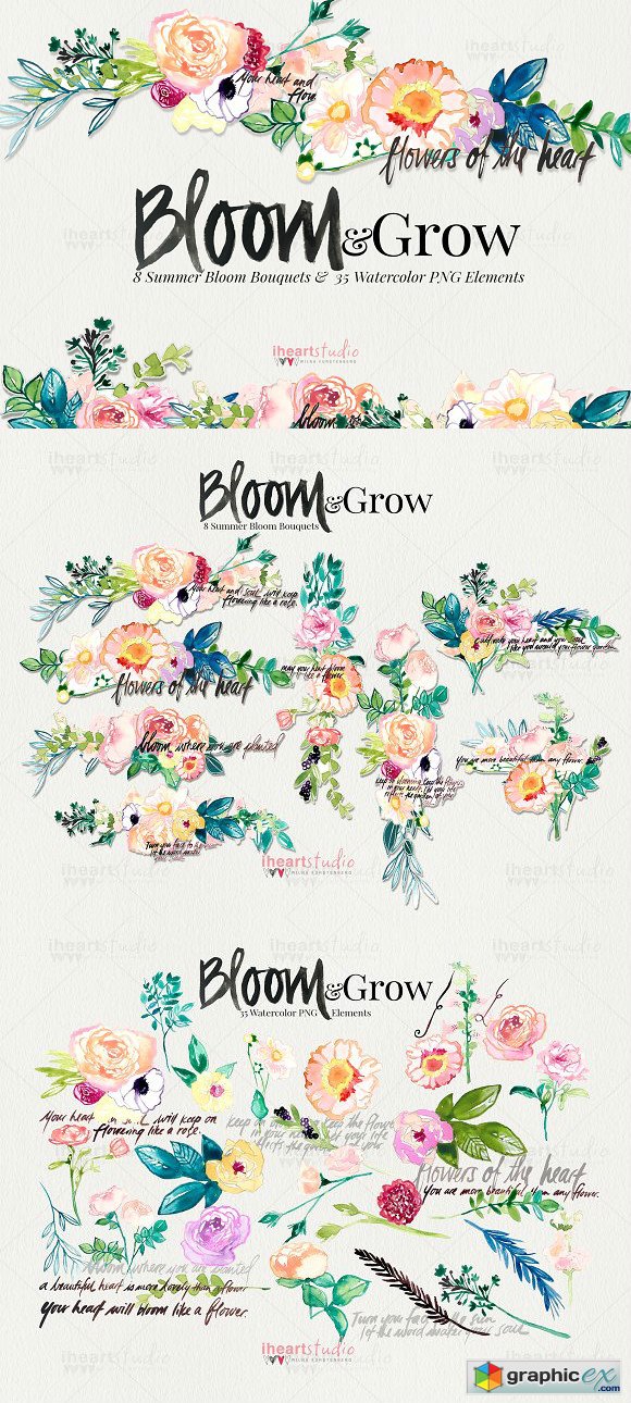 Bloom & Grow Watercolors