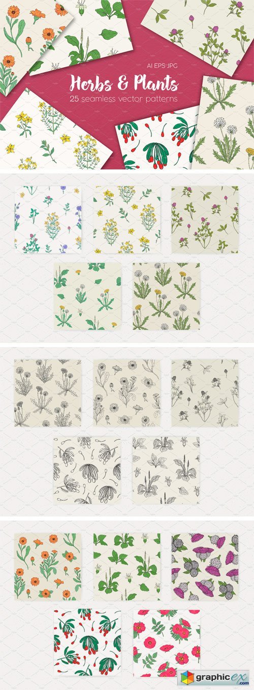 Seamless Patterns of Herbs and Plant
