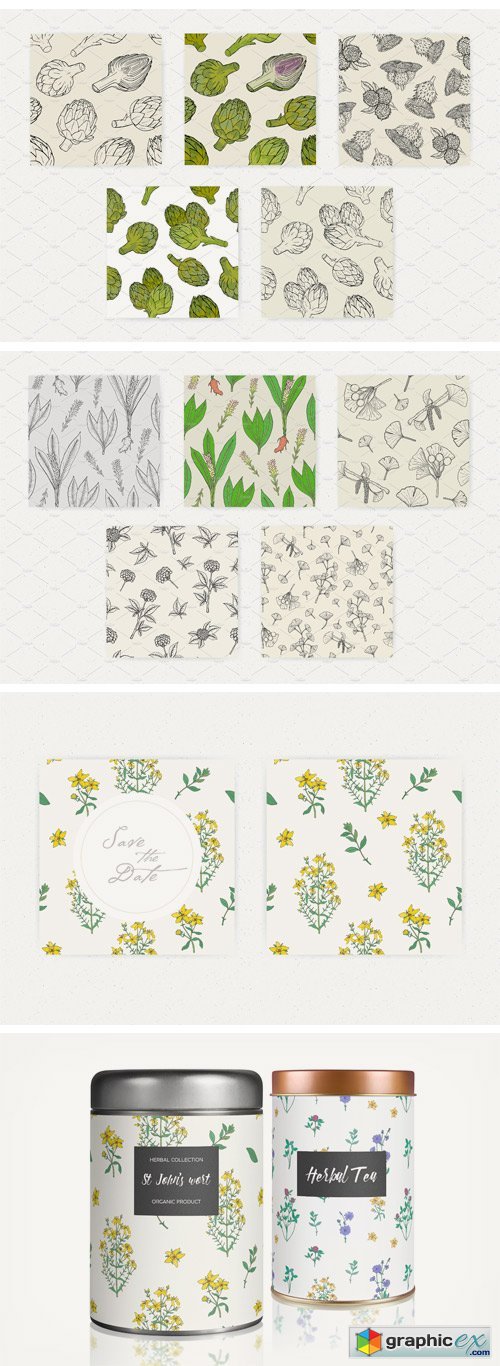 Seamless Patterns of Herbs and Plant
