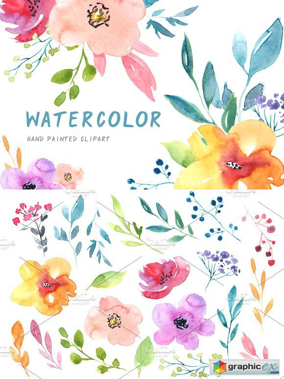 Watercolour flowers branches leaves