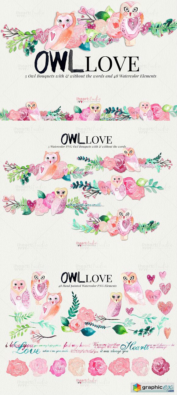 OWL Love Watercolors