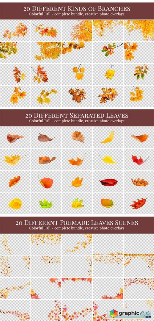 Colorful Fall Photo Overlays