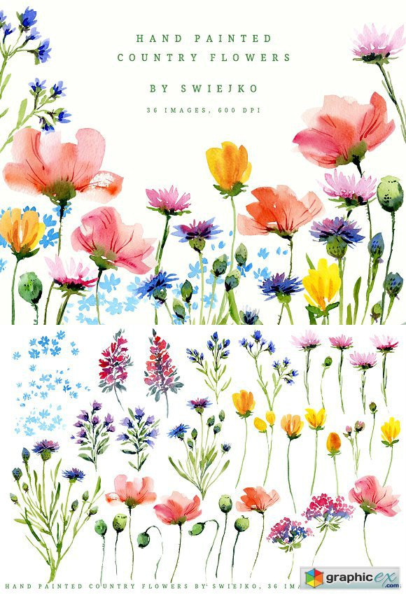 Hand painted country flowers