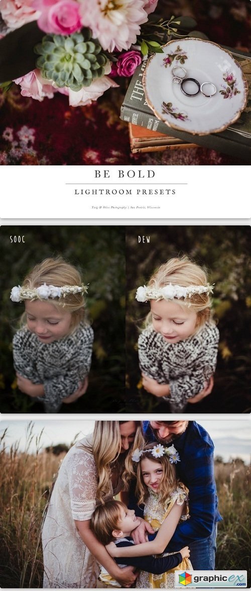 Twig & Olive Photography - LR Be Bold Presets
