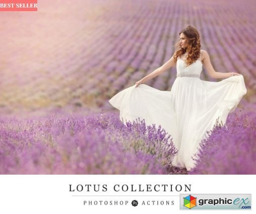 Seasalt-co - Lotus Collection