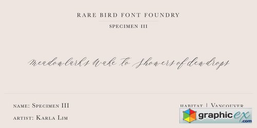 Rare Bird Specimen III Font