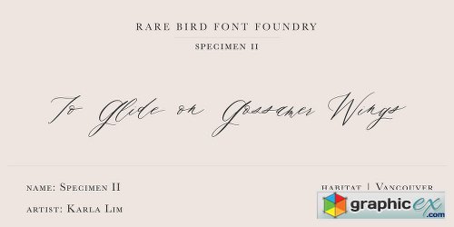 Rare Bird Specimen II Font