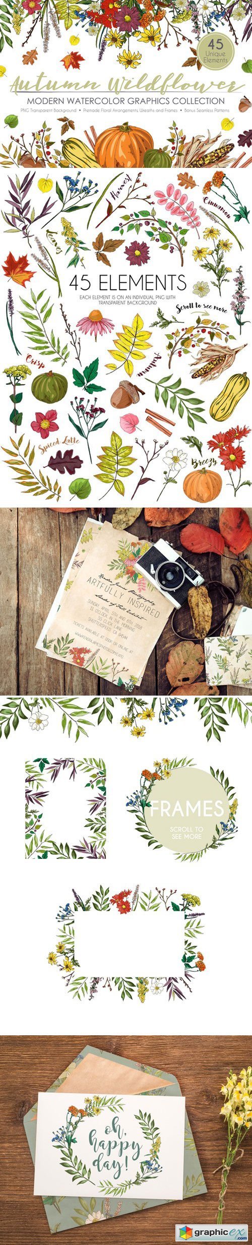 Autumn Wildflower Graphic Set