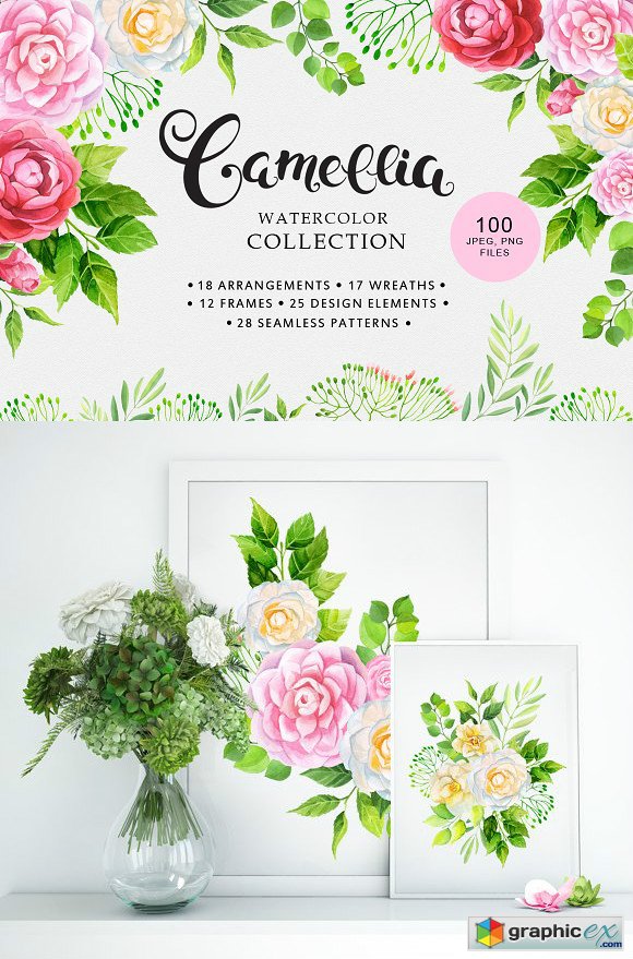 Camellia watercolor collection