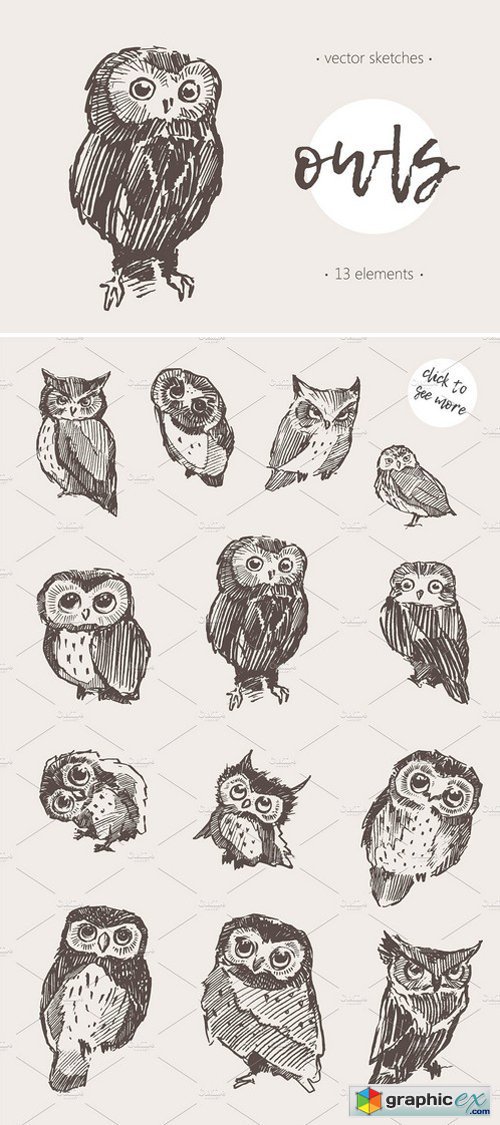 Sketches of owls