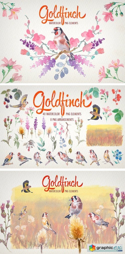 Watercolor Goldfinch Bird Clipart