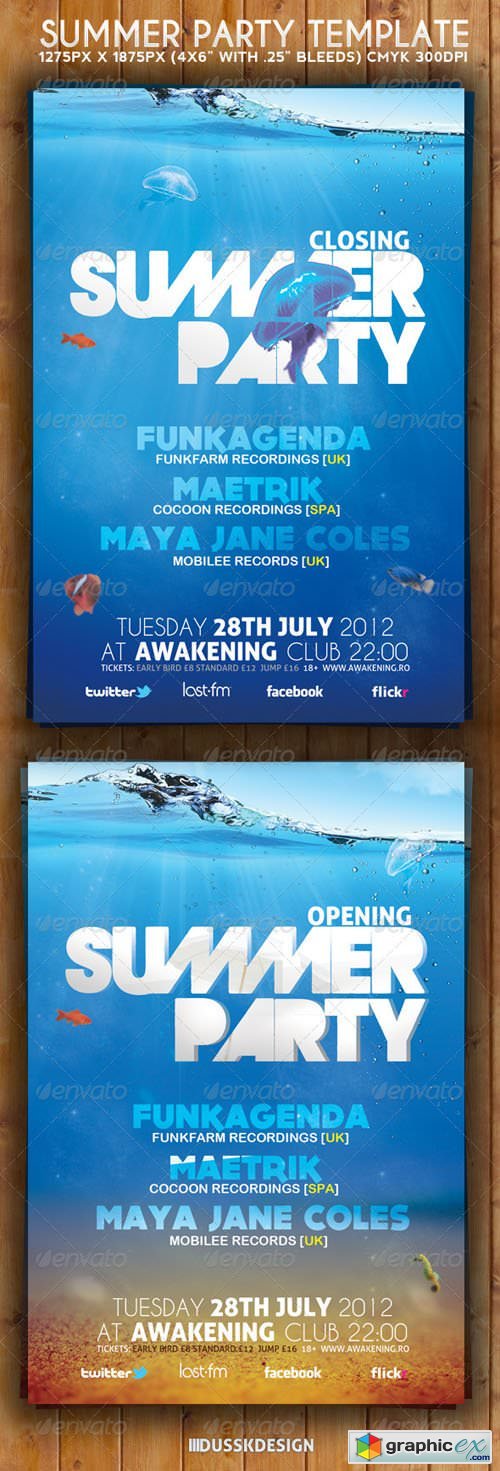 Summer Party Flyer 3117675