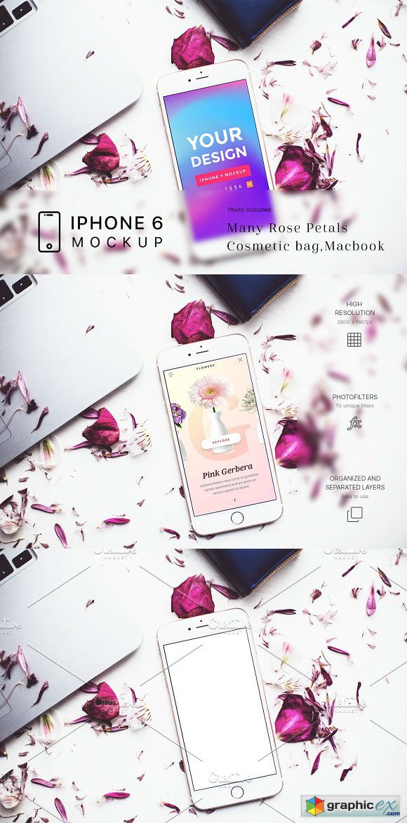 Rose Petals with iPhone 6 Mockup