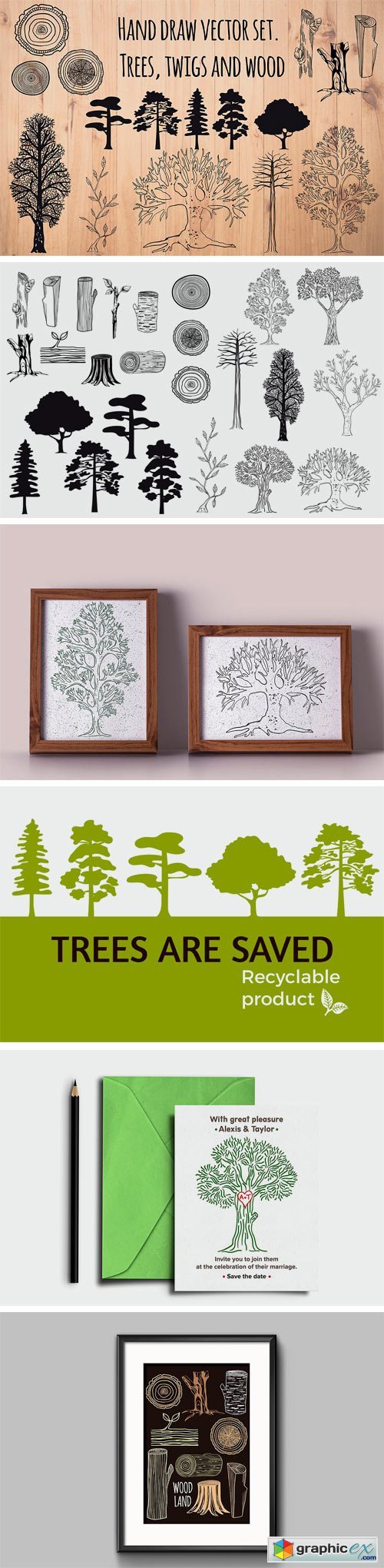 Set of Hand Drawn Trees and Wood