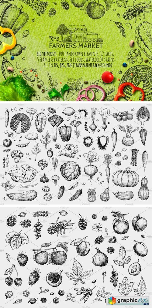 Hand Drawn Vegetables and Fruit