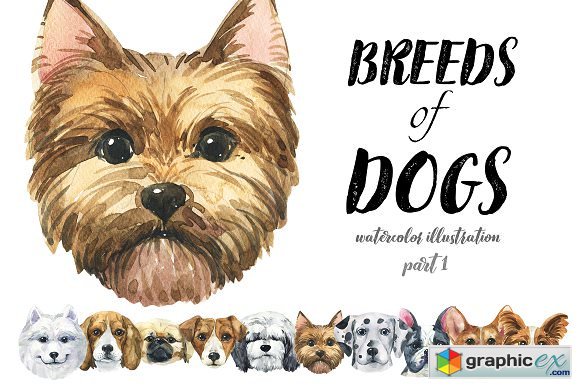 Breeds of dogs - watercolor Part 1