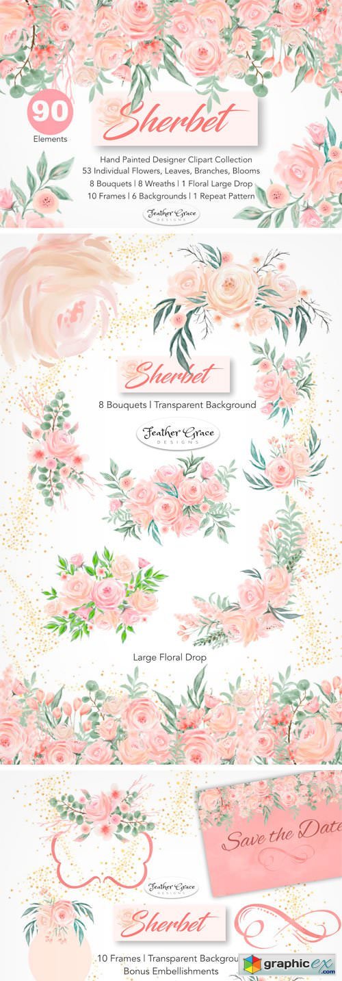 Watercolor Flowers - Sherbet