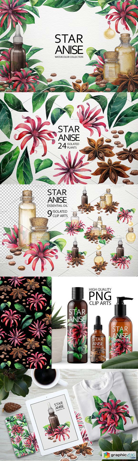 Watercolor Star Anise collection