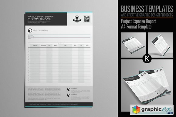 Project Expense Report A4 Format