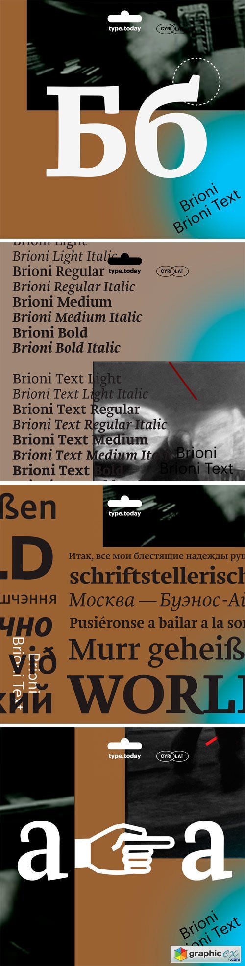 Brioni Pro & Brioni Text Family