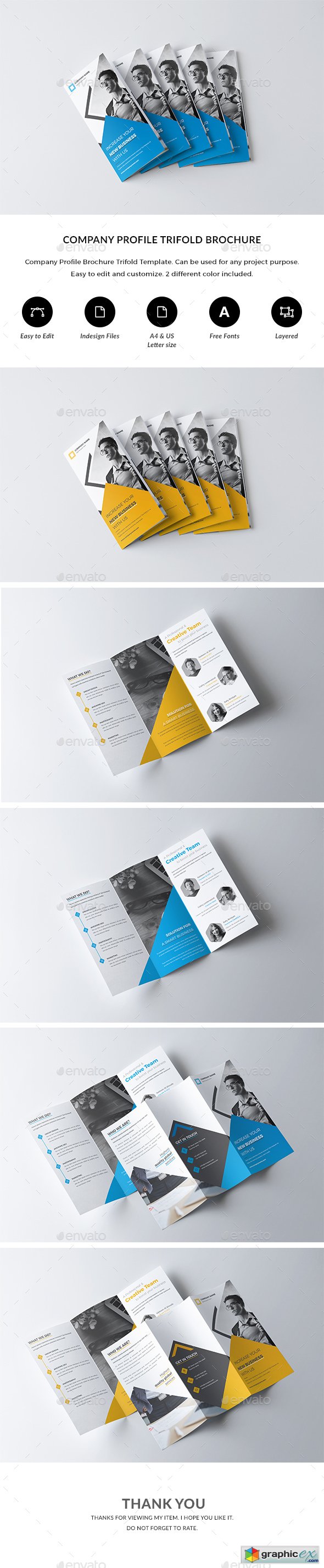 Trifold Brochure Template 20919347