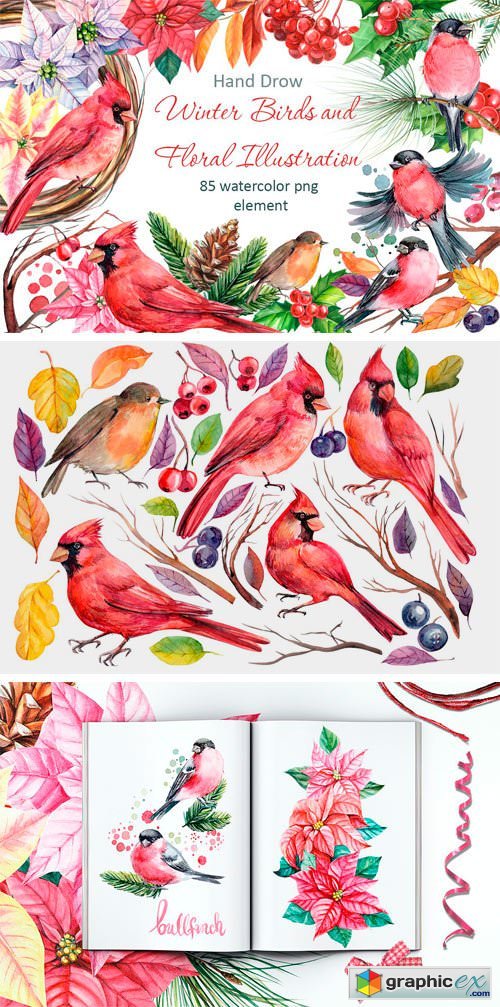 Winter Birds and Floral Illustration