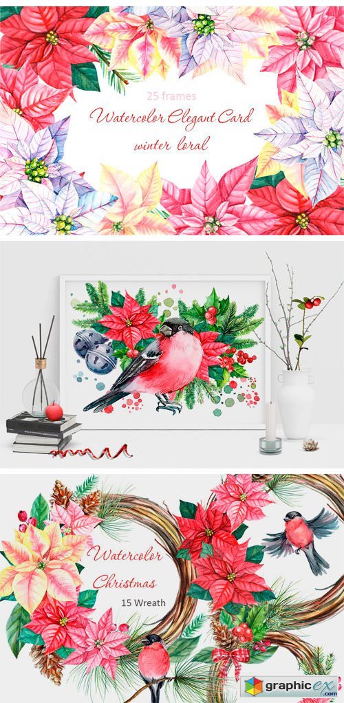 Winter Birds and Floral Illustration