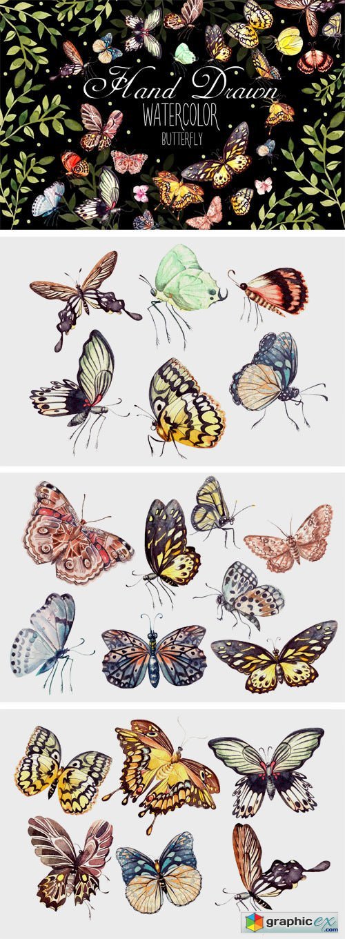 Beautiful Watercolor Butterflies