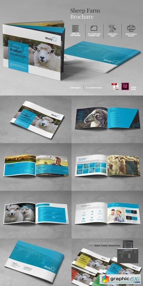Sheep Farm Brochure A5