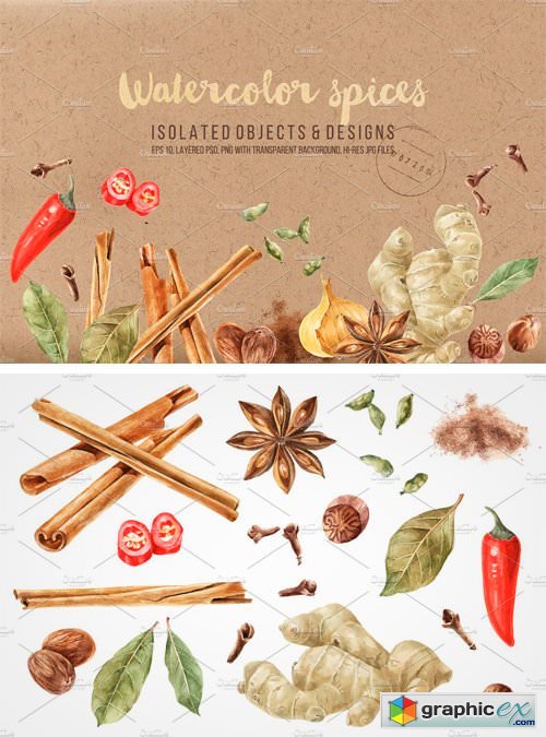 Watercolor Spices