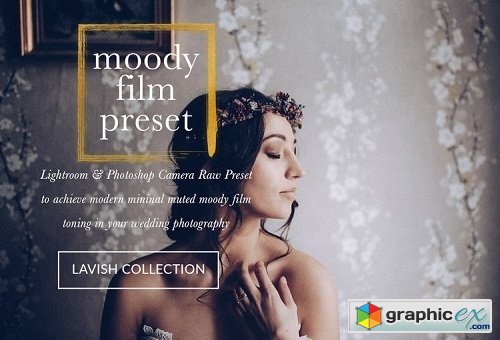 JAYDE & UMBER Photography - Moody Cool Film LR & ACR Presets
