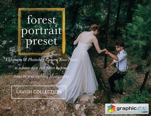 JAYDE & UMBER Photography - Forest Portrait LR & ACR Presets