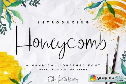 Honeycomb Font Family - 2 Fonts
