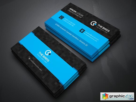 Business Card 2163332